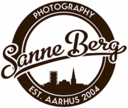 SanneBerg Logo